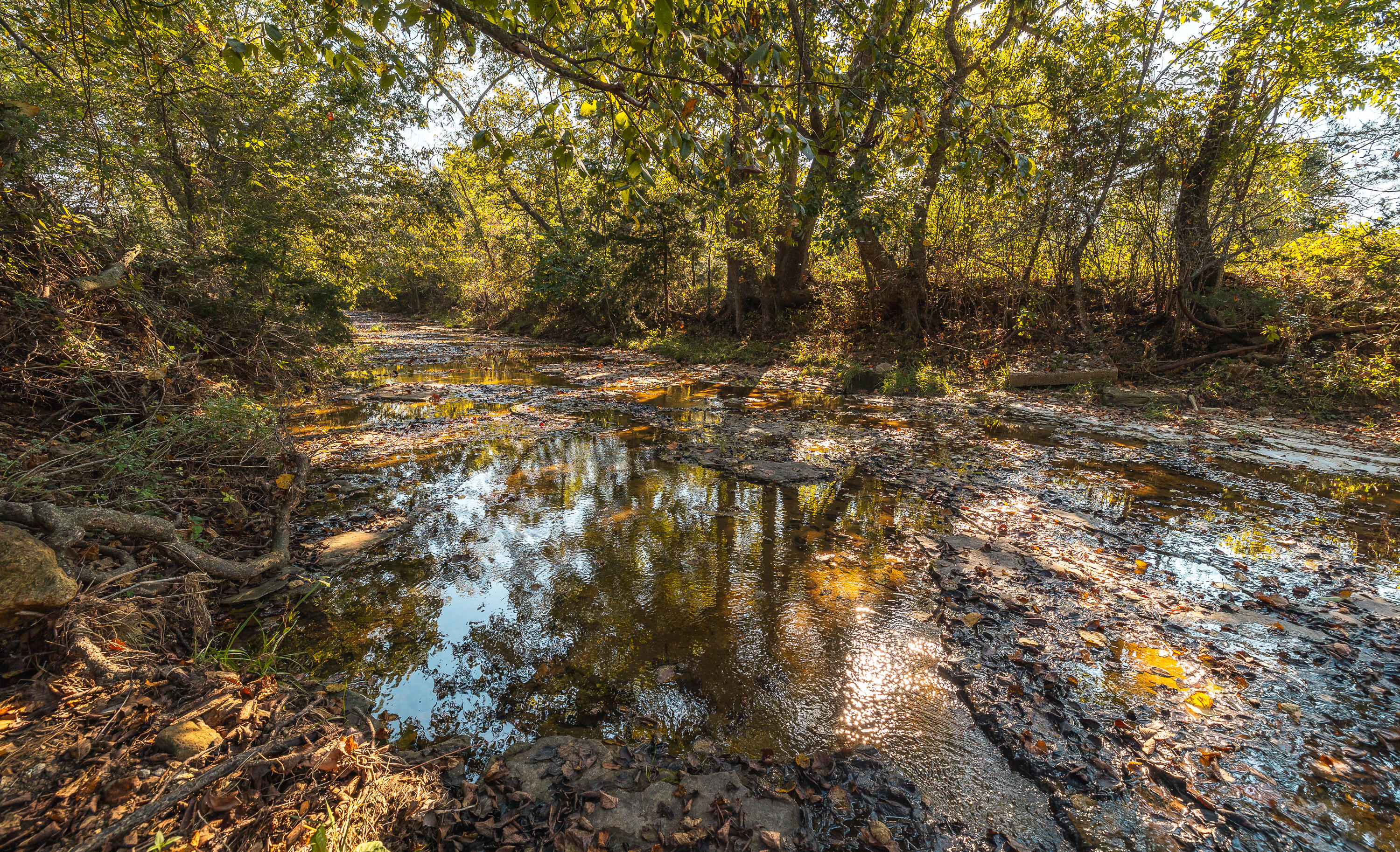 5451 Bado Road Property Photo 90
