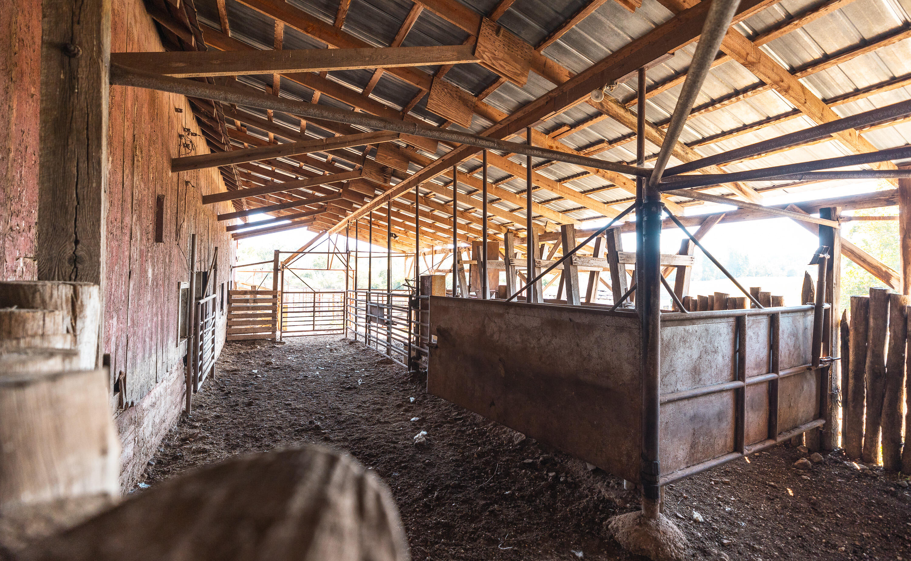 5451 Bado Road Property Photo 106