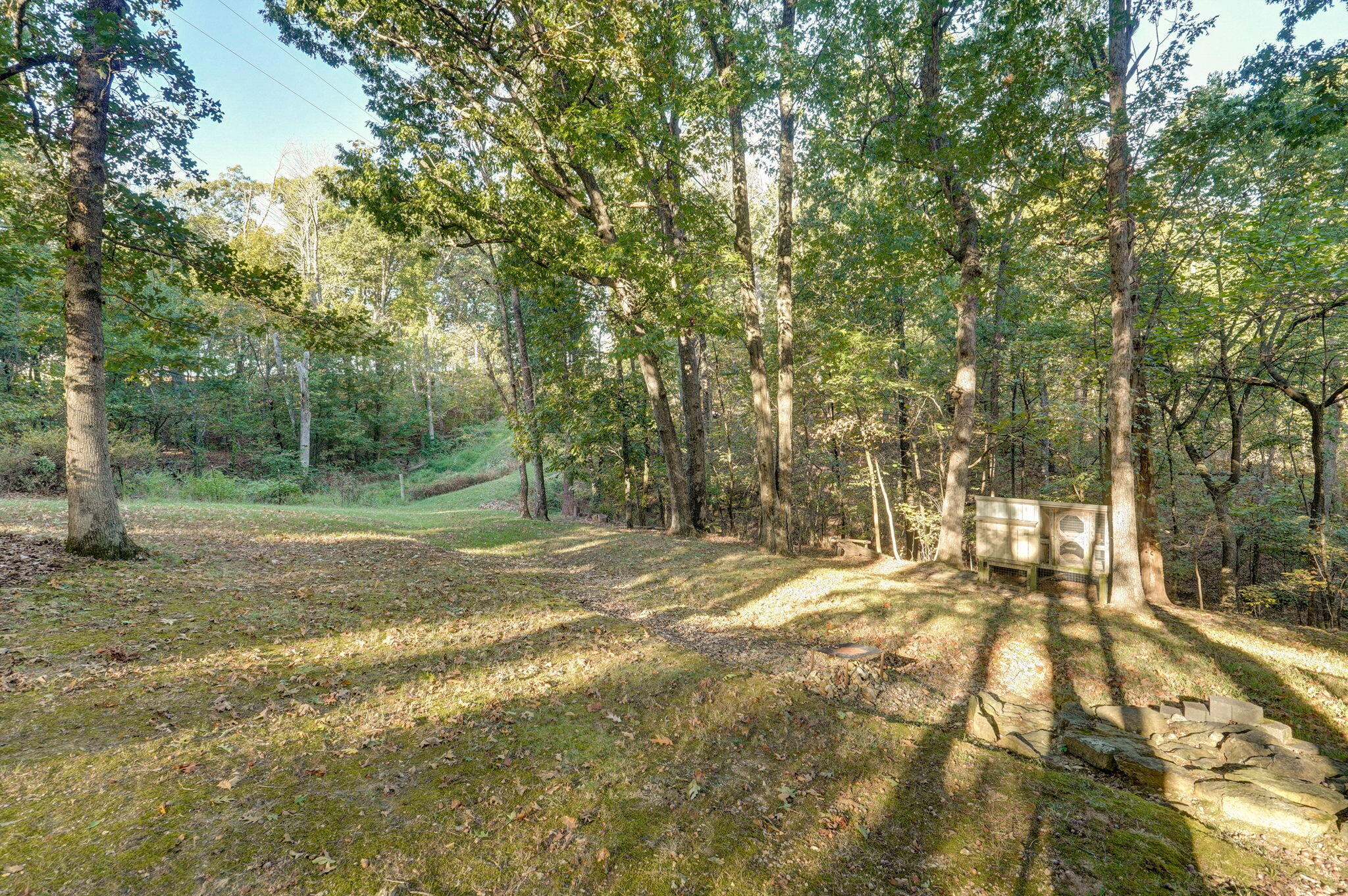 5920 State Highway A Property Photo 38