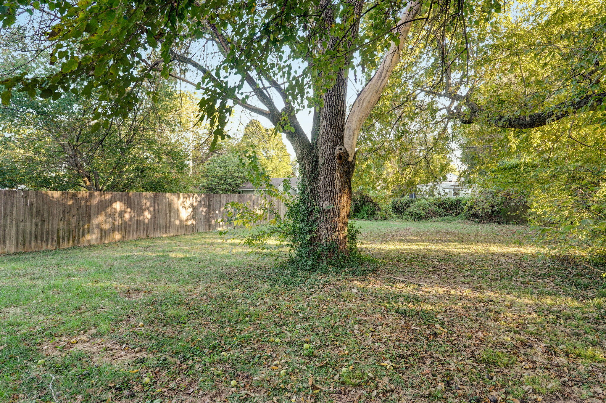2530 West Lincoln Street Property Photo 22