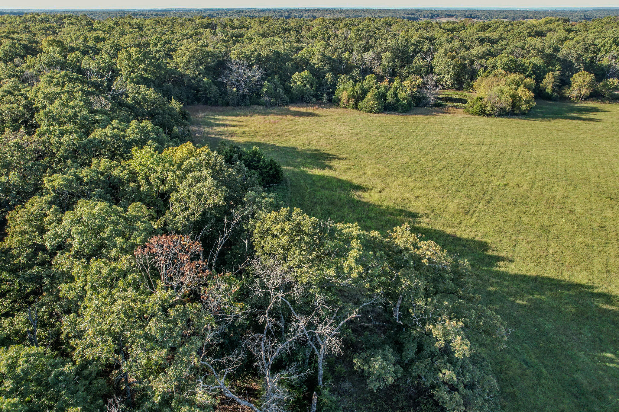 29 Owl Trail Property Photo 28