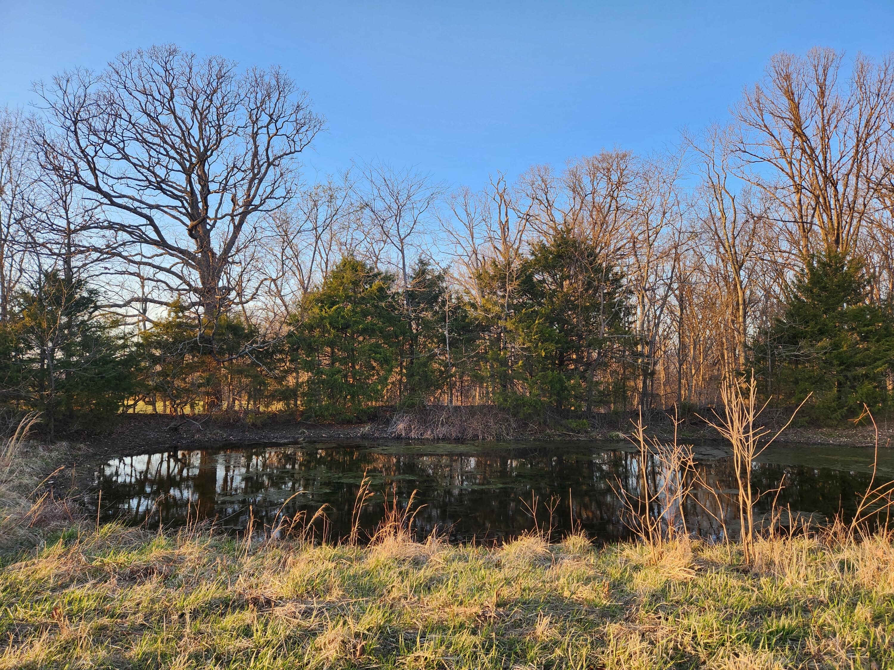 29 Owl Trail Property Photo 32
