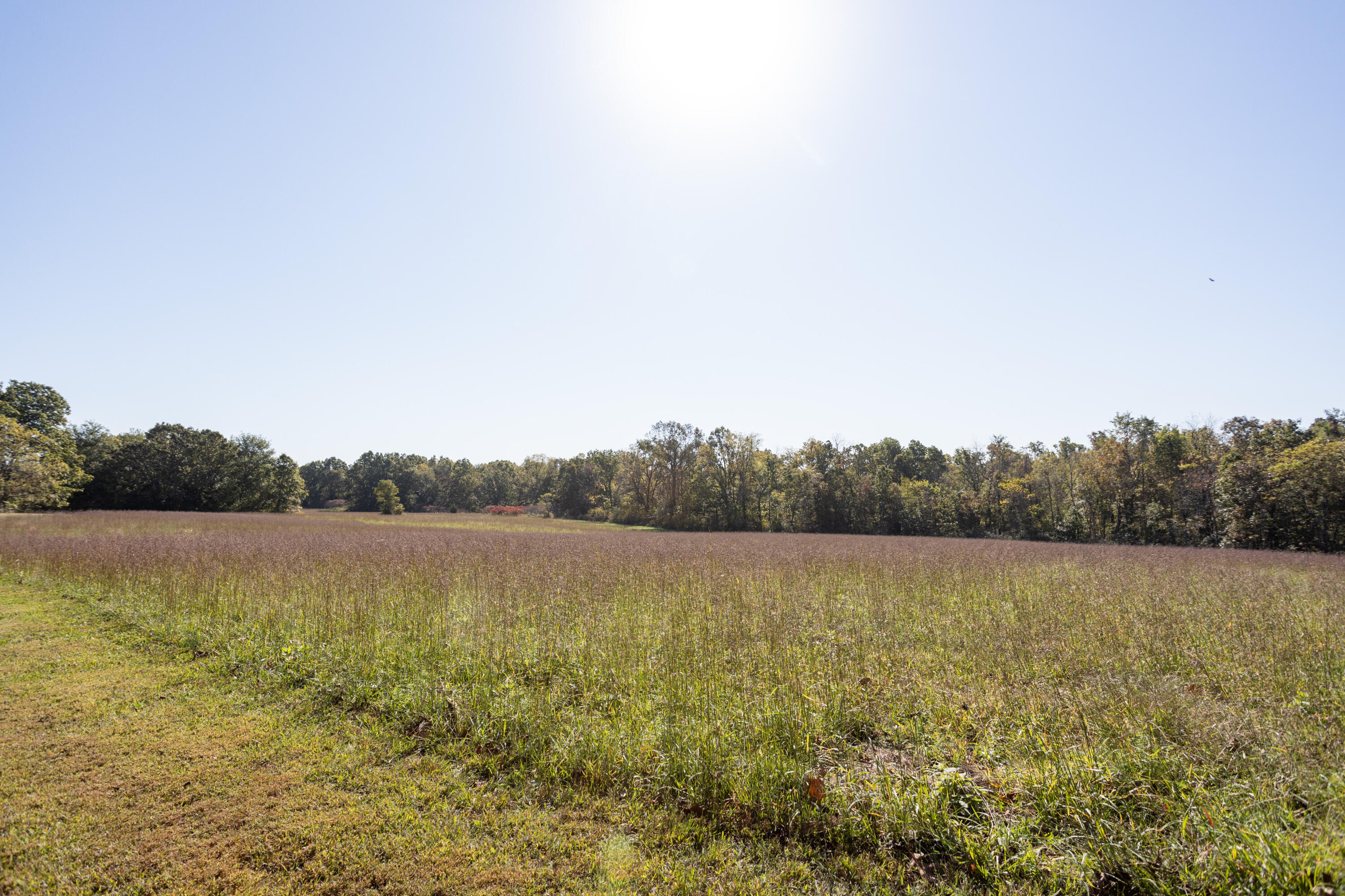 1744 Pyatt Road Property Photo 3