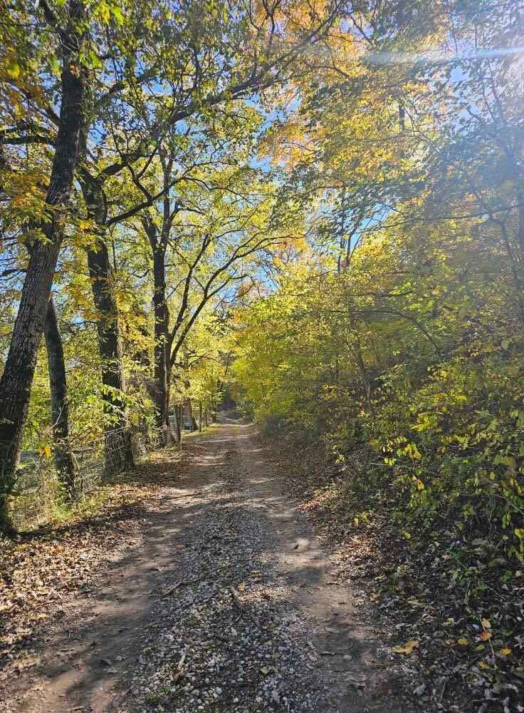 349 Howell Drive Property Photo 34