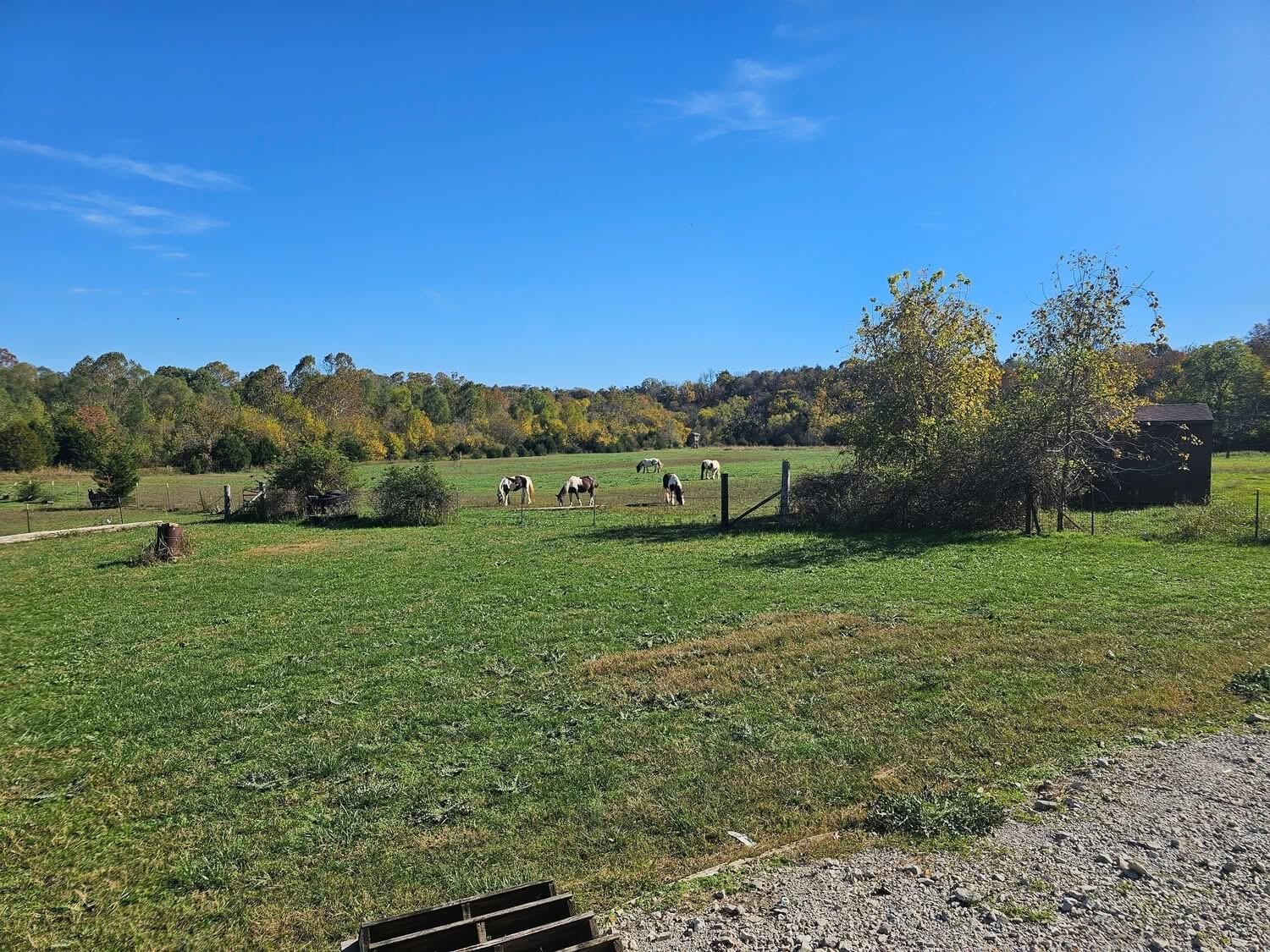 349 Howell Drive Property Photo 40