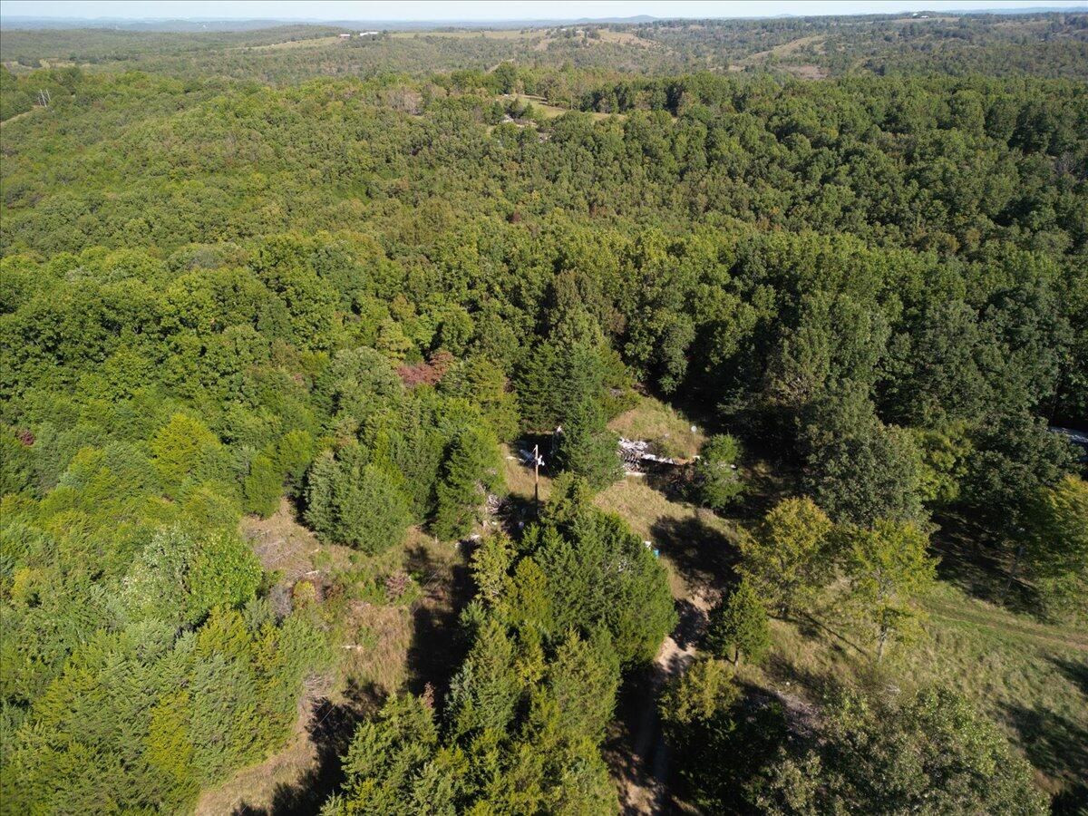 53 Della Rose Lane Property Photo 5