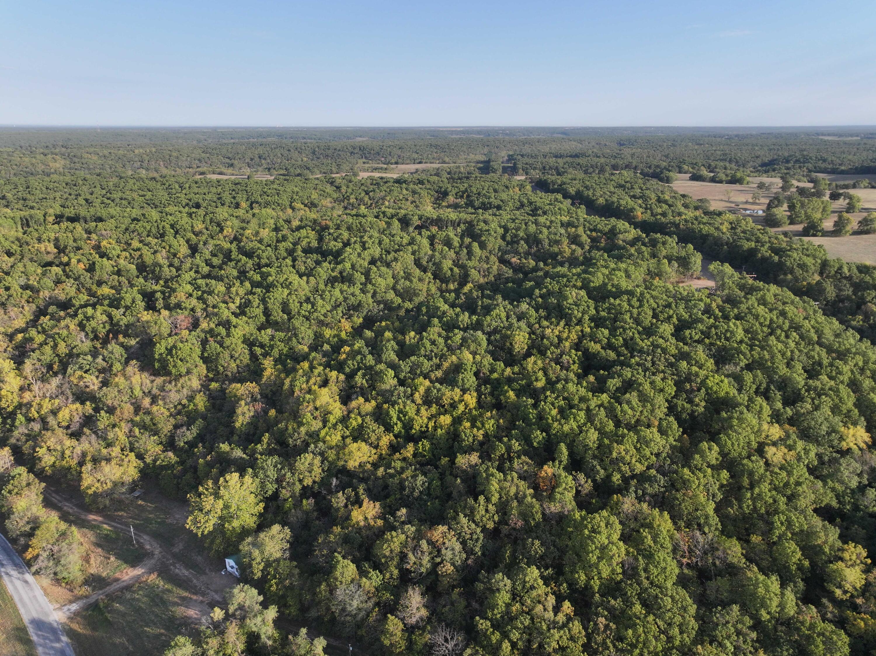 000 Old 60 Drive Tract 3 Property Photo 5
