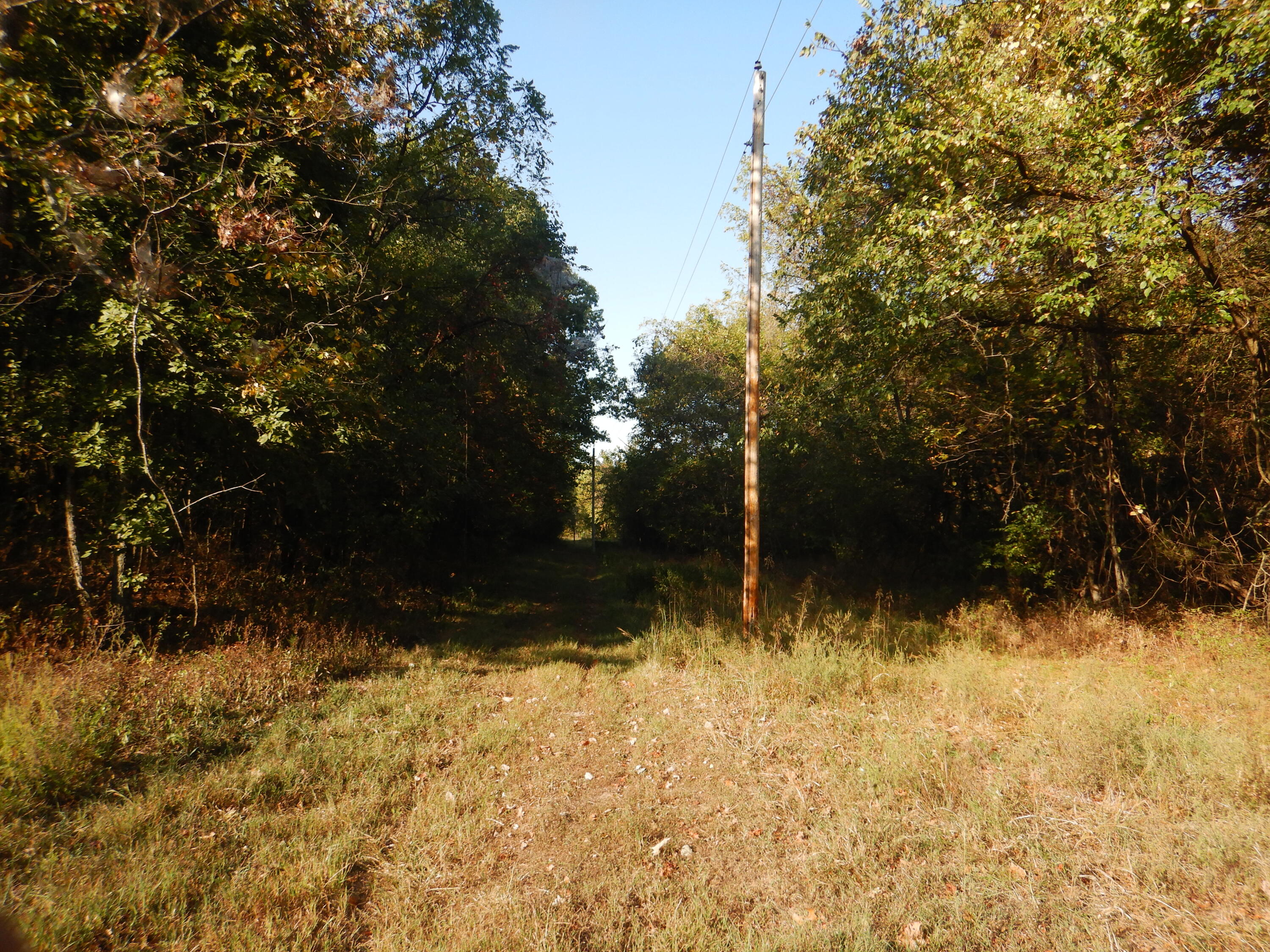 000 Old 60 Drive Tract 3 Property Photo 9