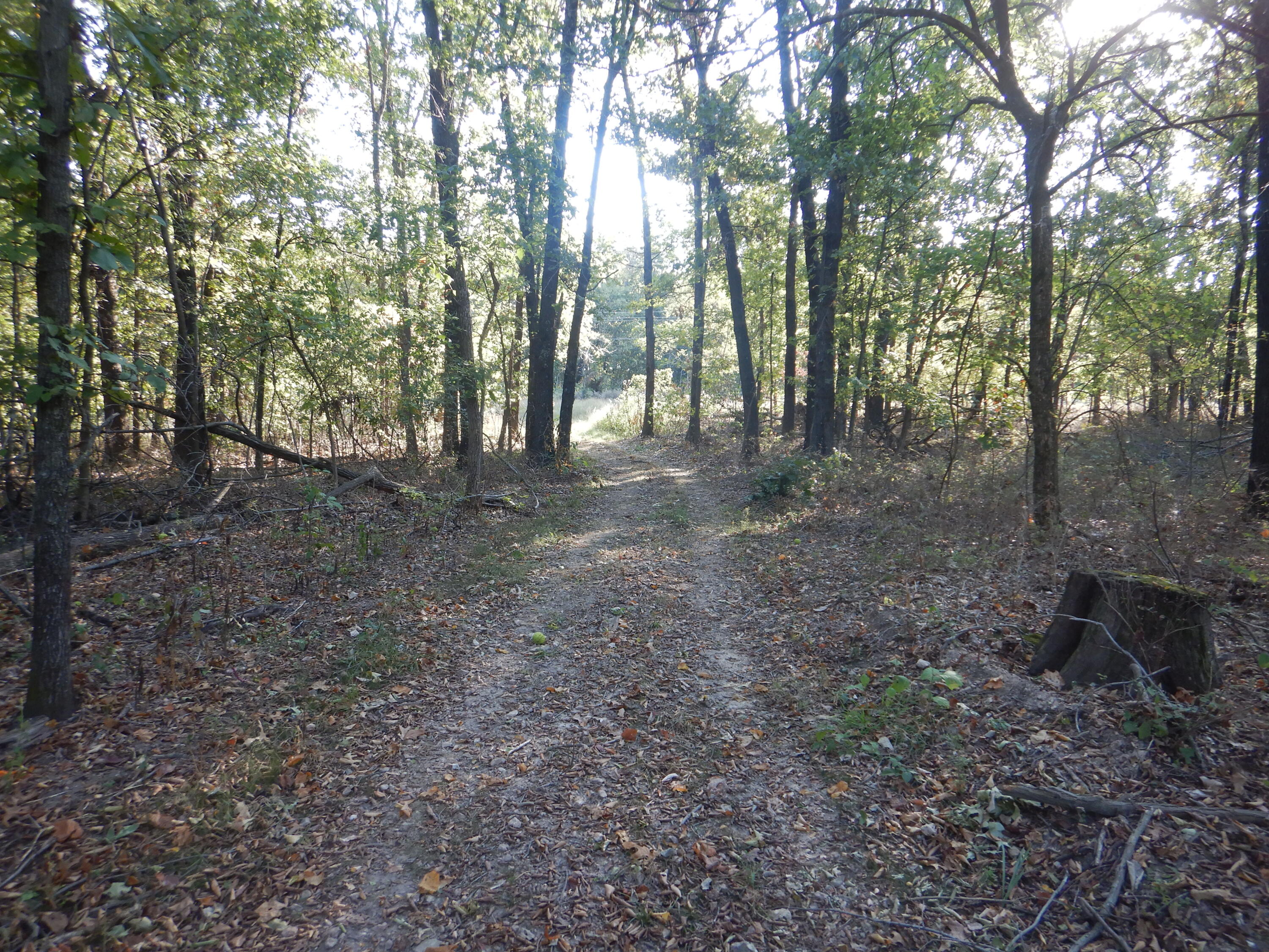 000 Old 60 Drive Tract 3 Property Photo 10