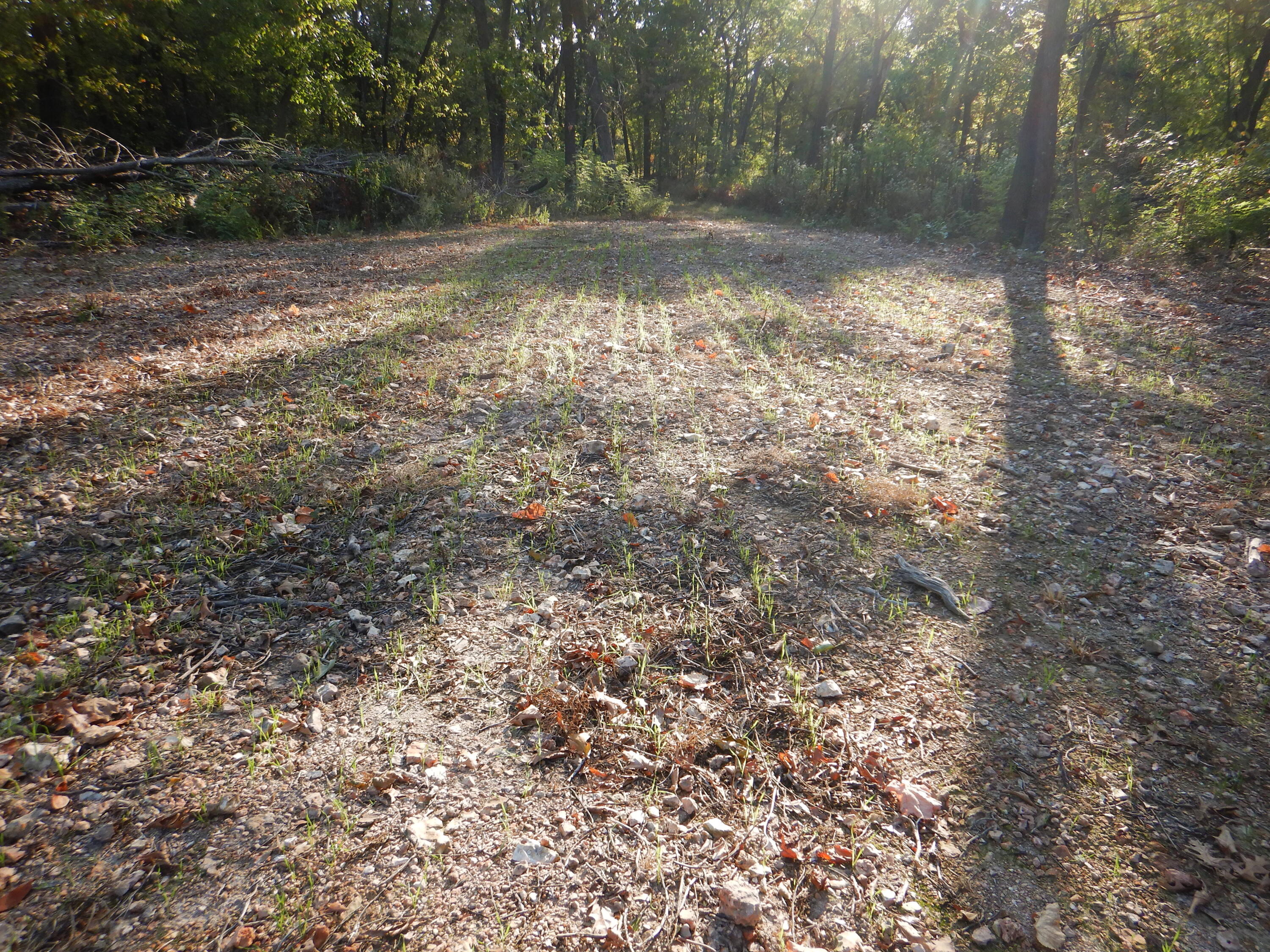 000 Old 60 Drive Tract 3 Property Photo 11