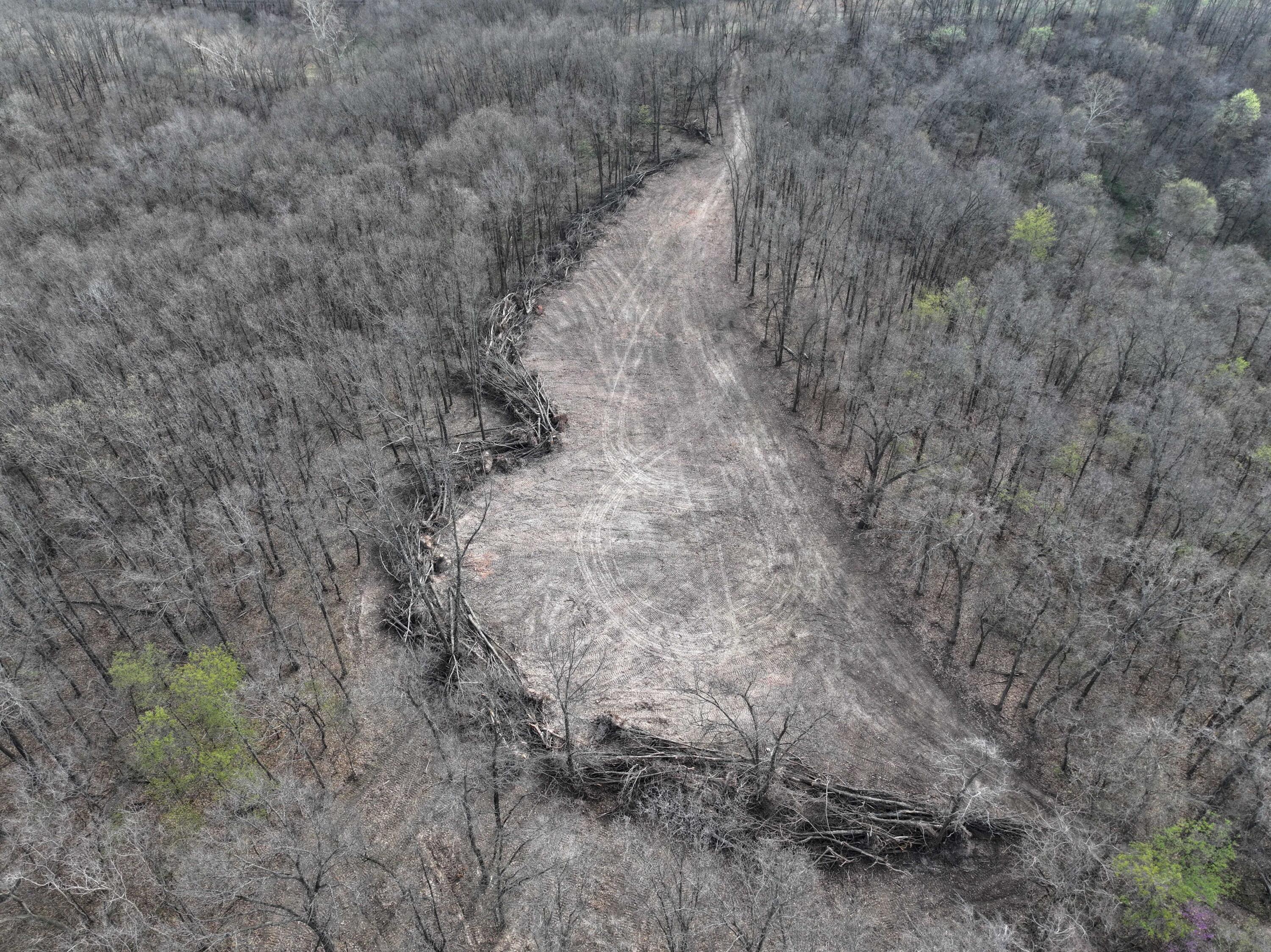 000 Old 60 Drive Tract 3 Property Photo 17