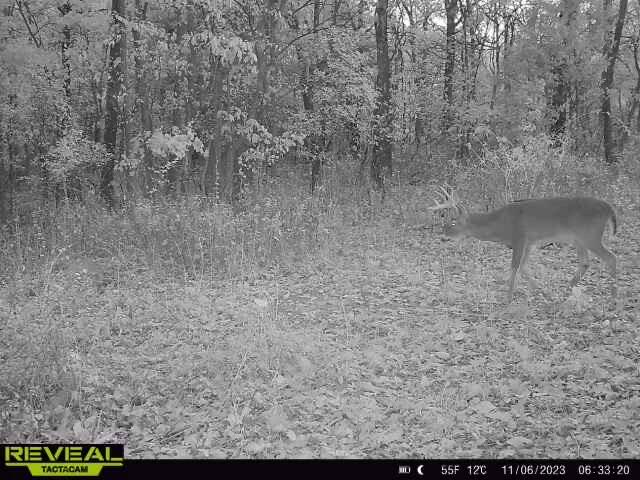 000 Old 60 Drive Tract 3 Property Photo 28