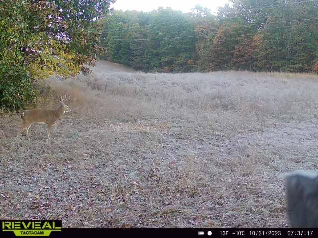 000 Old 60 Drive Tract 3 Property Photo 30