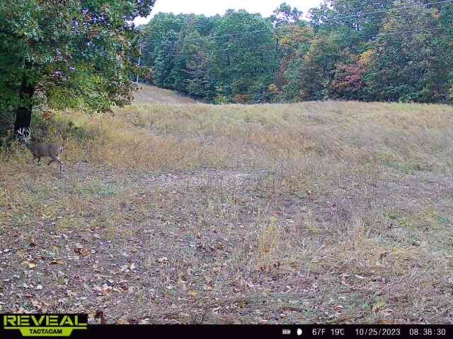 000 Old 60 Drive Tract 3 Property Photo 38