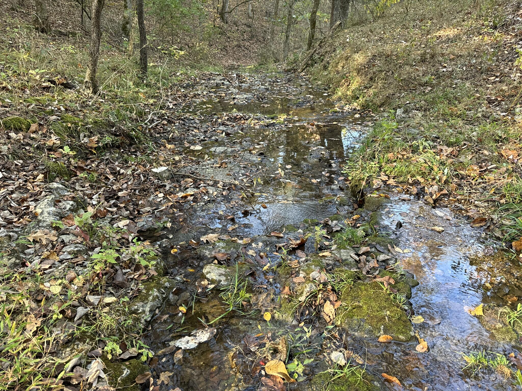 000 Thomas Hollow Road Property Photo 1