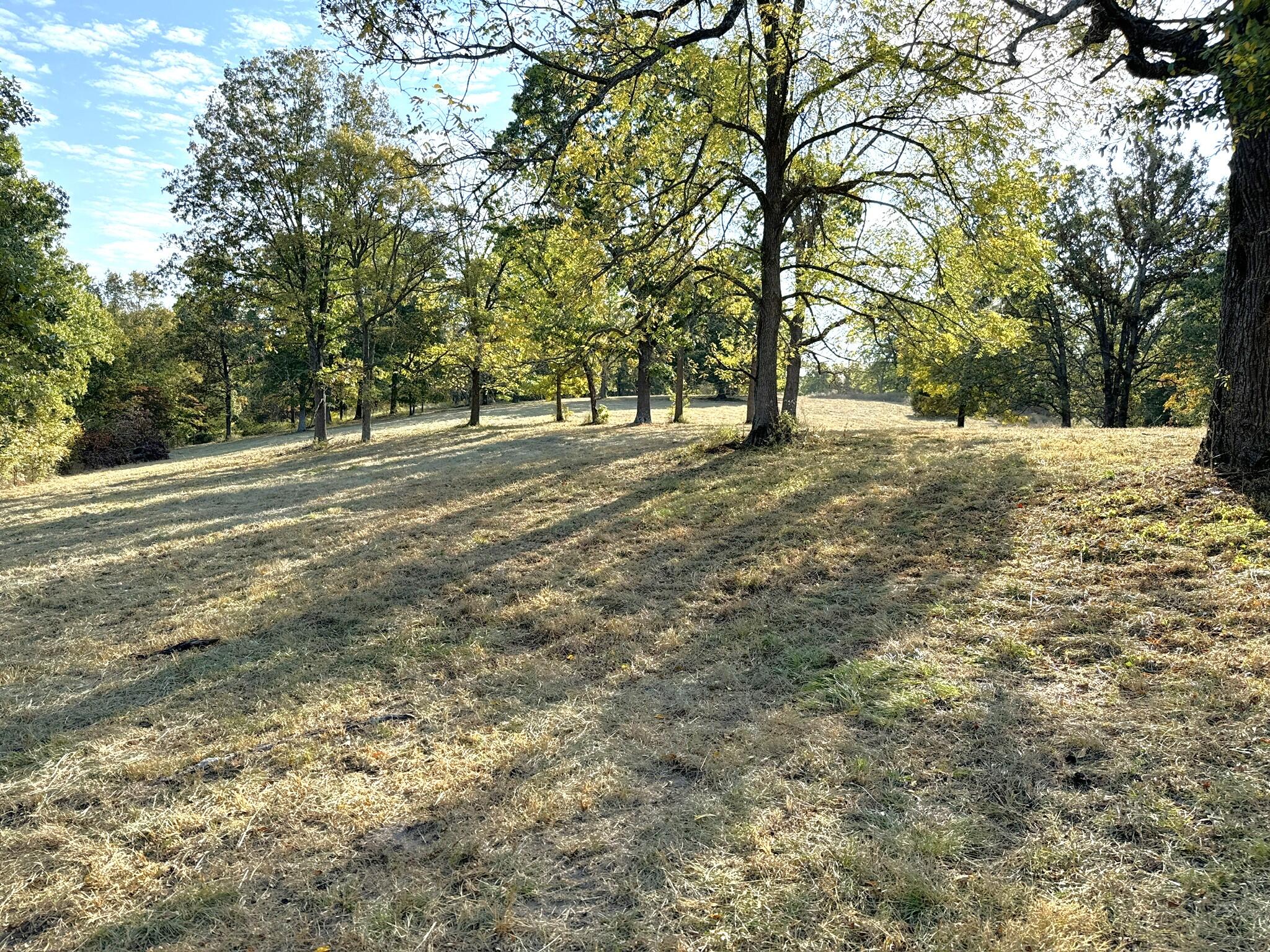 000 Thomas Hollow Road Property Photo 8