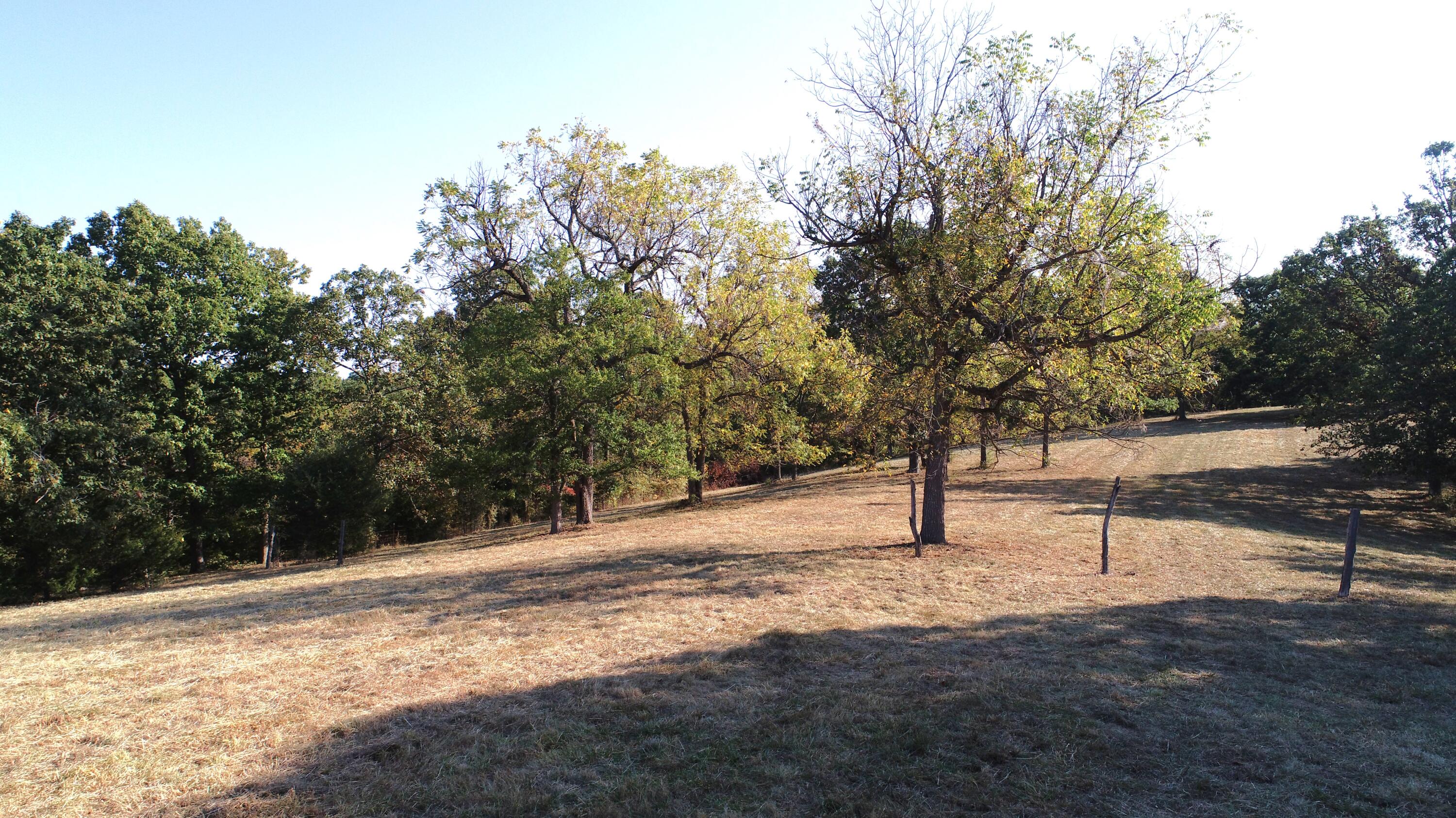 000 Thomas Hollow Road Property Photo 12
