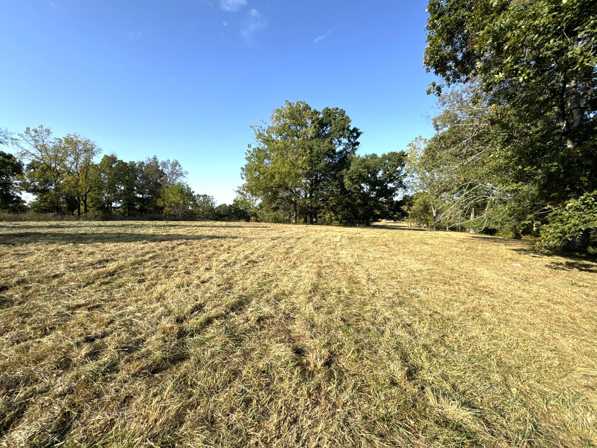 000 Thomas Hollow Road Property Photo 14