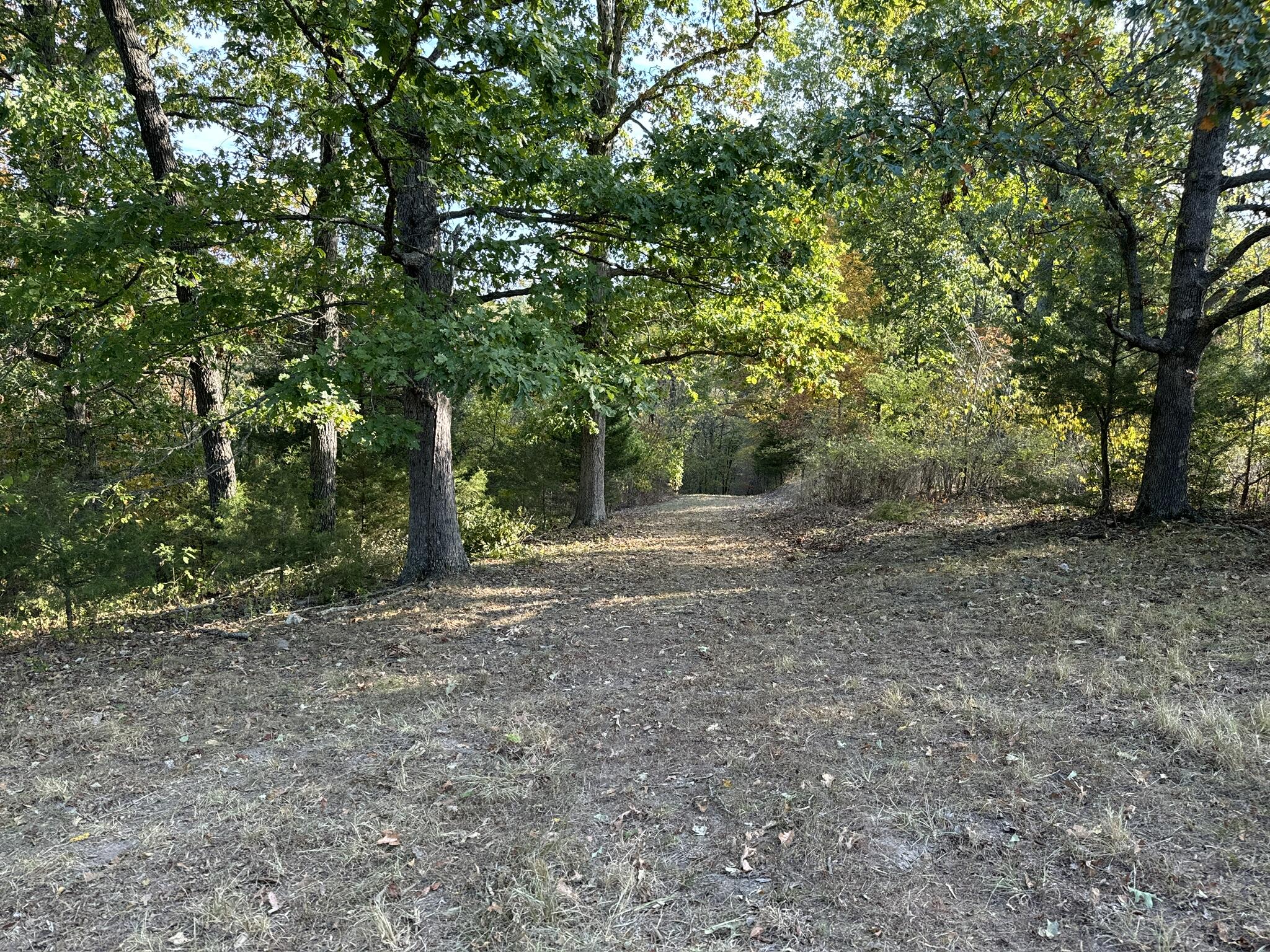 000 Thomas Hollow Road Property Photo 15