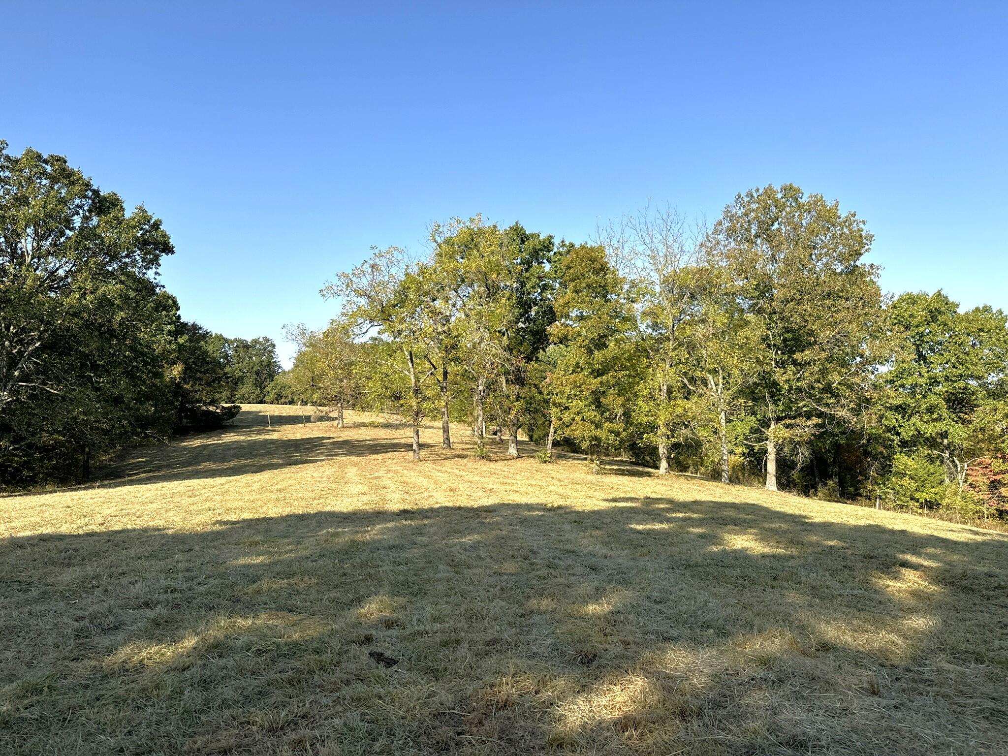 000 Thomas Hollow Road Property Photo 16