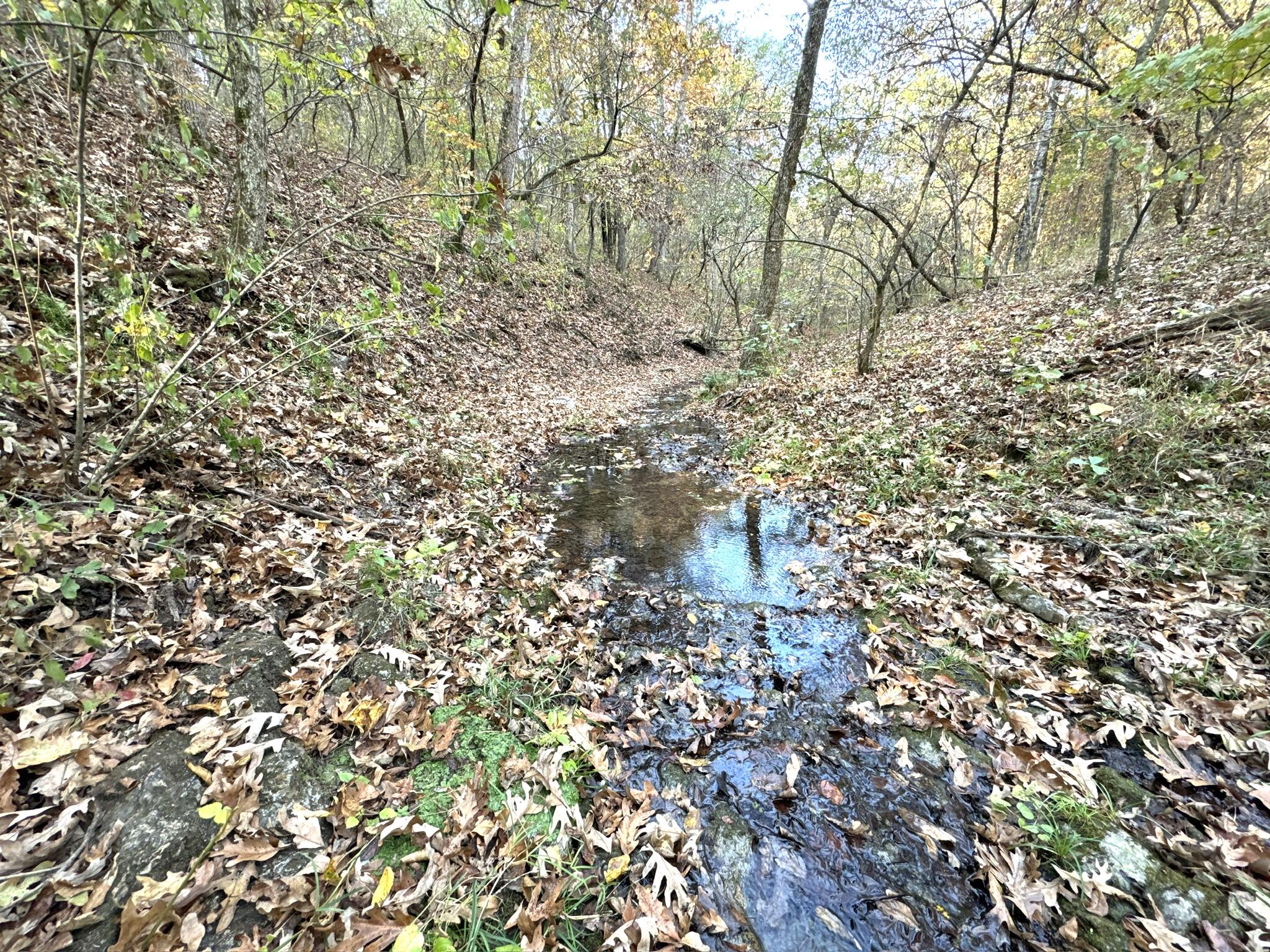 000 Thomas Hollow Road Property Photo 21