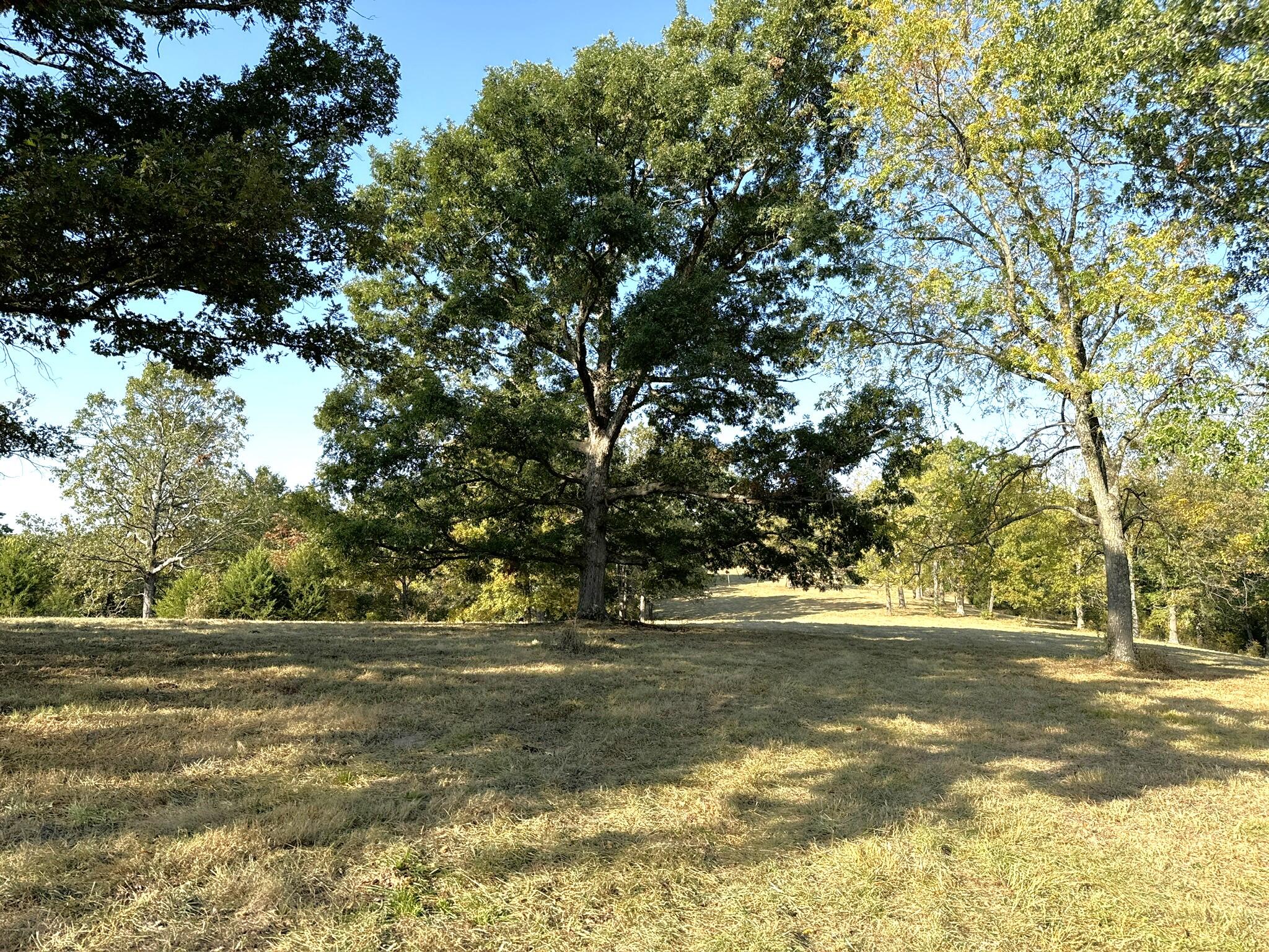 000 Thomas Hollow Road Property Photo 24