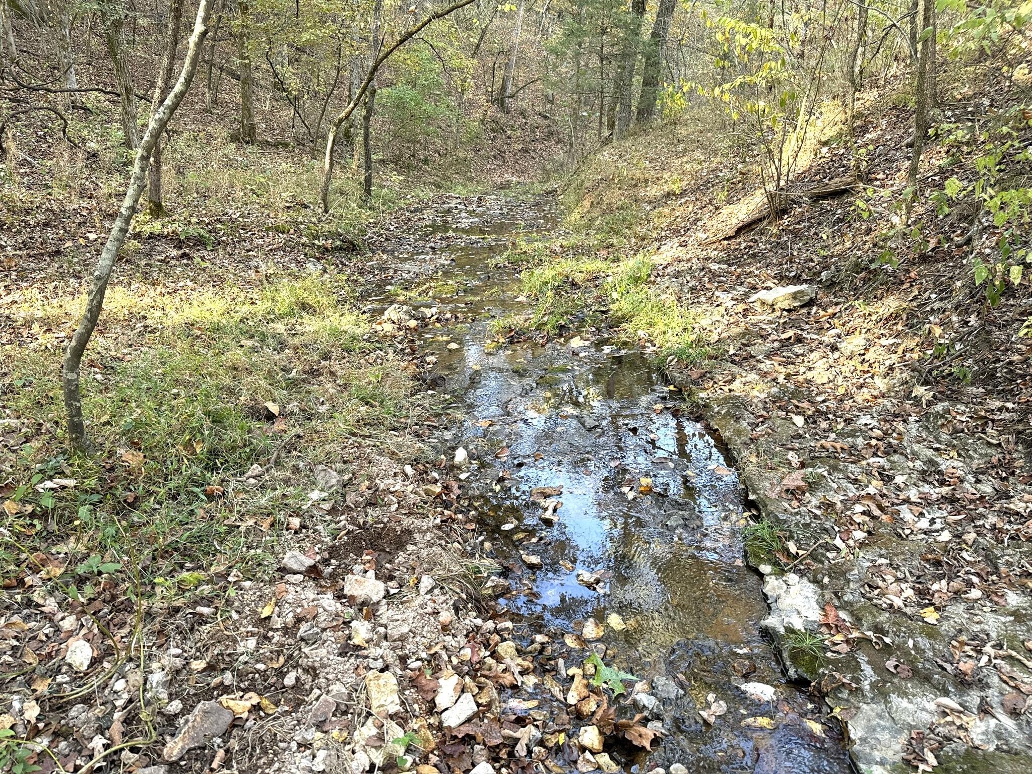 000 Thomas Hollow Road Property Photo 25