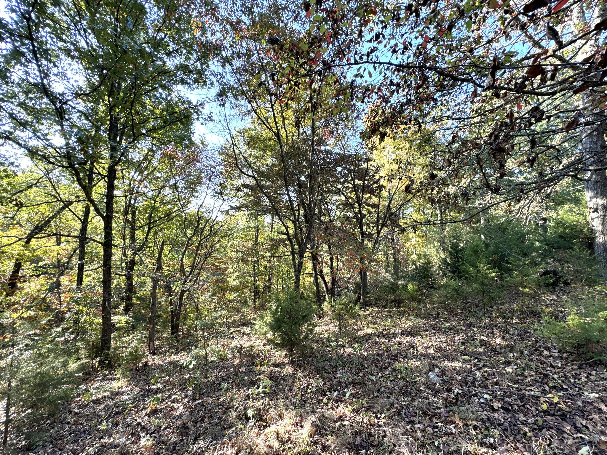 000 Thomas Hollow Road Property Photo 27