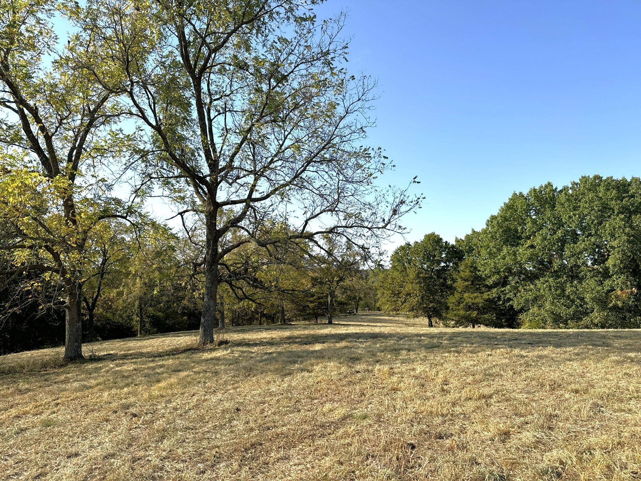 000 Thomas Hollow Road Property Photo 29