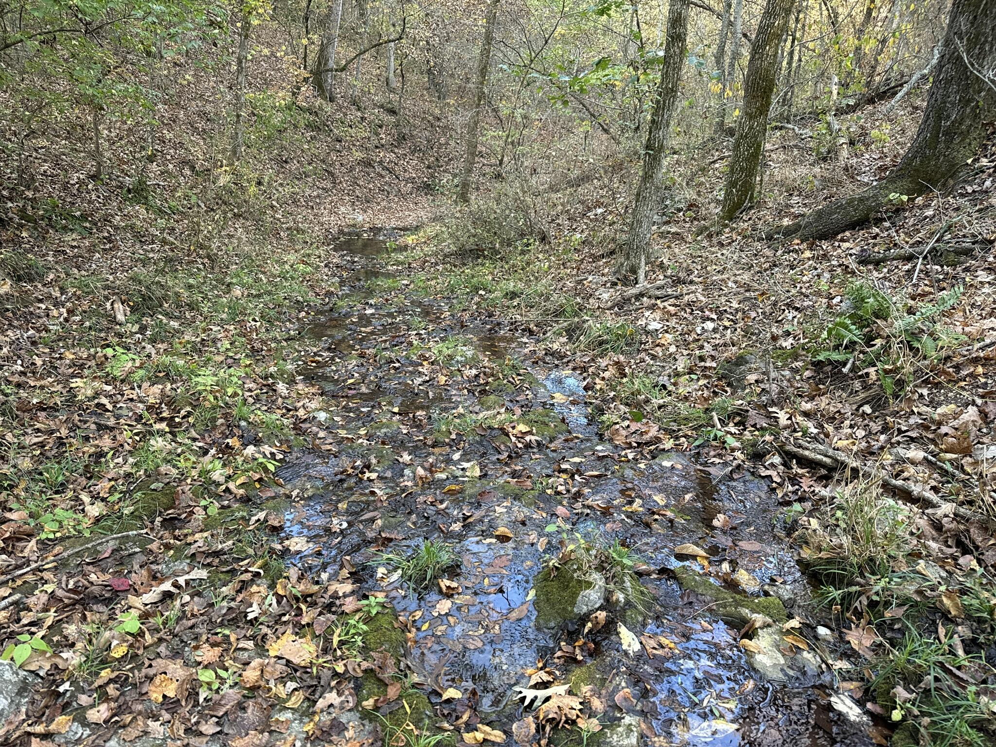 000 Thomas Hollow Road Property Photo 30