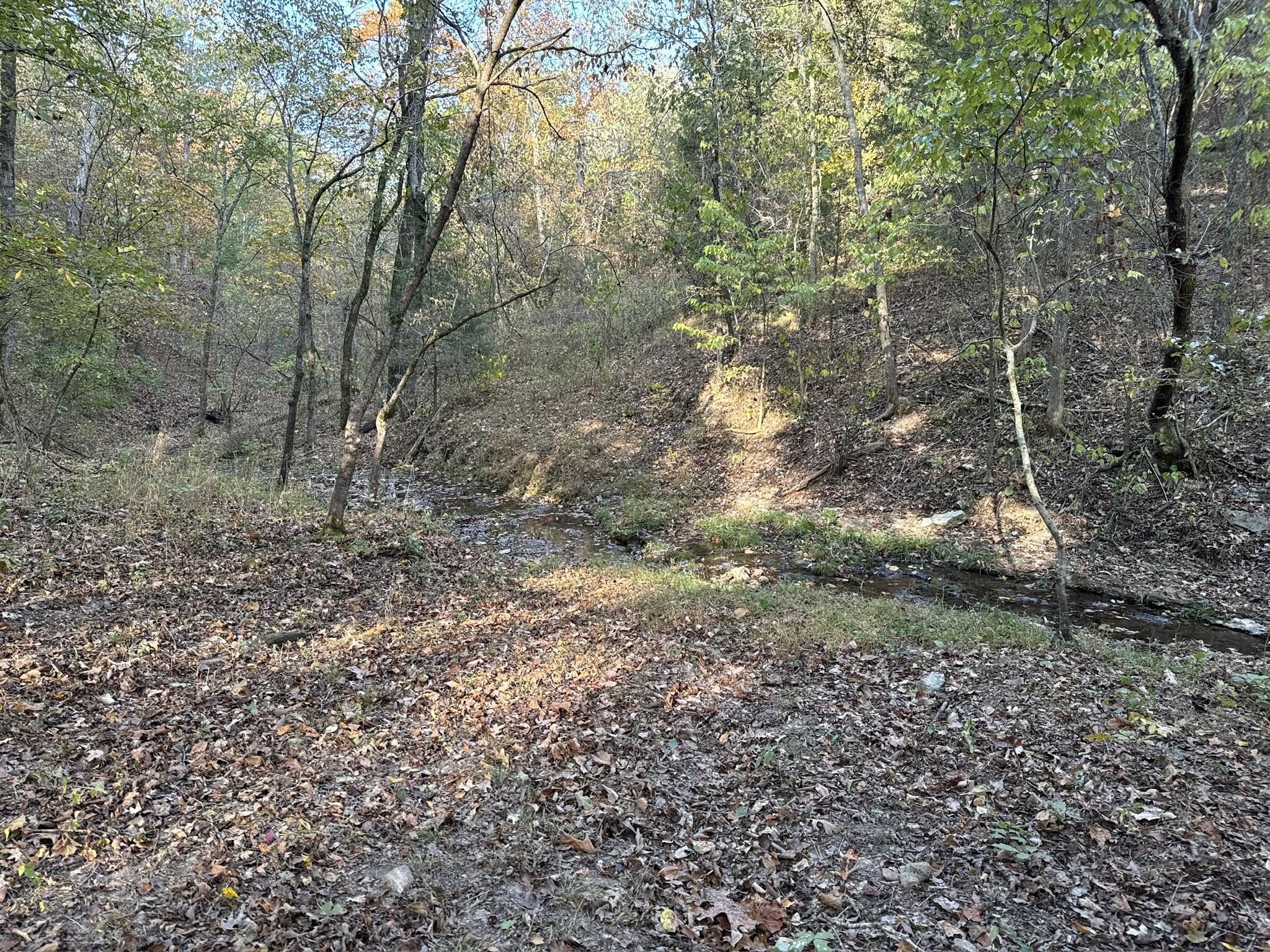 000 Thomas Hollow Road Property Photo 31