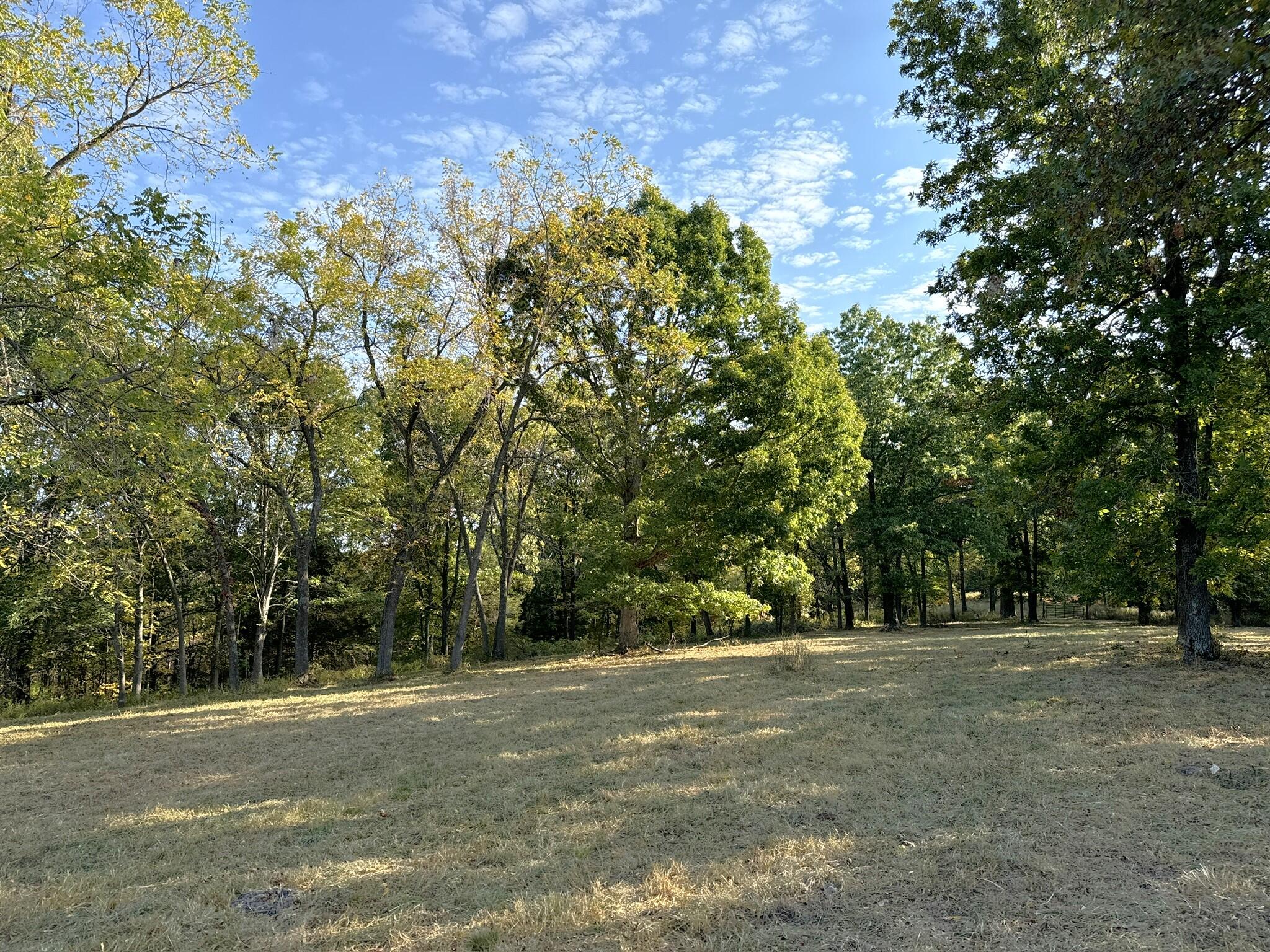 000 Thomas Hollow Road Property Photo 34