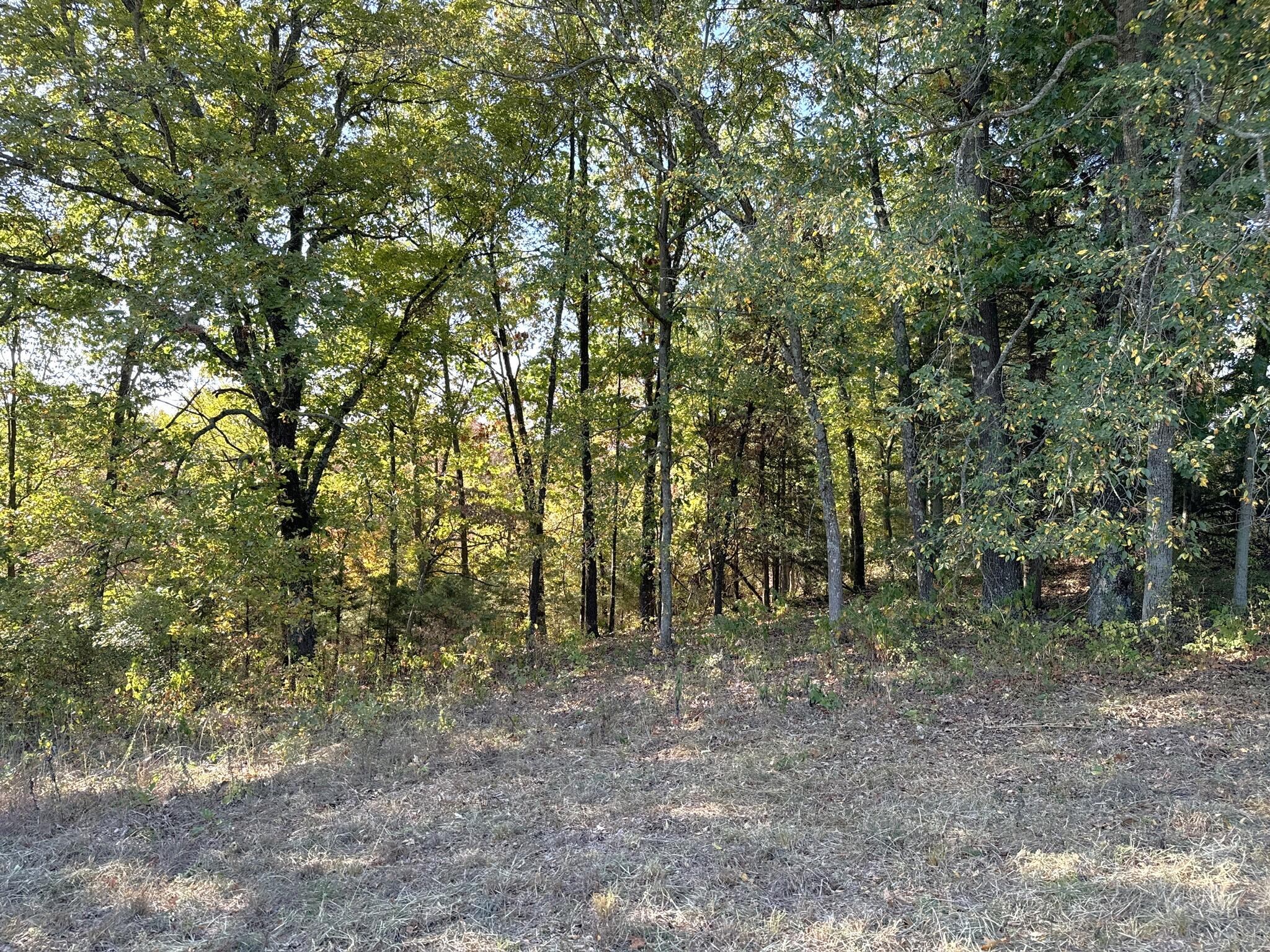 000 Thomas Hollow Road Property Photo 35