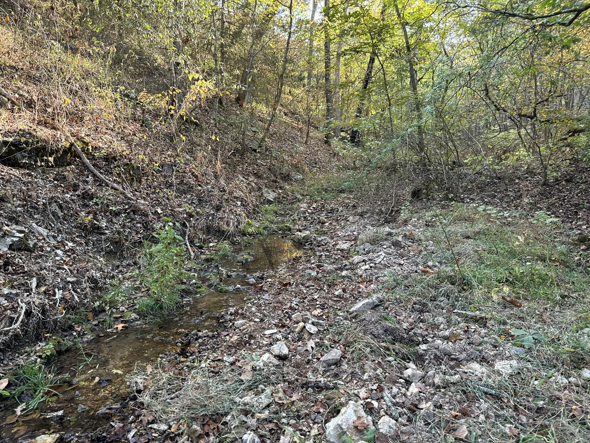 000 Thomas Hollow Road Property Photo 36