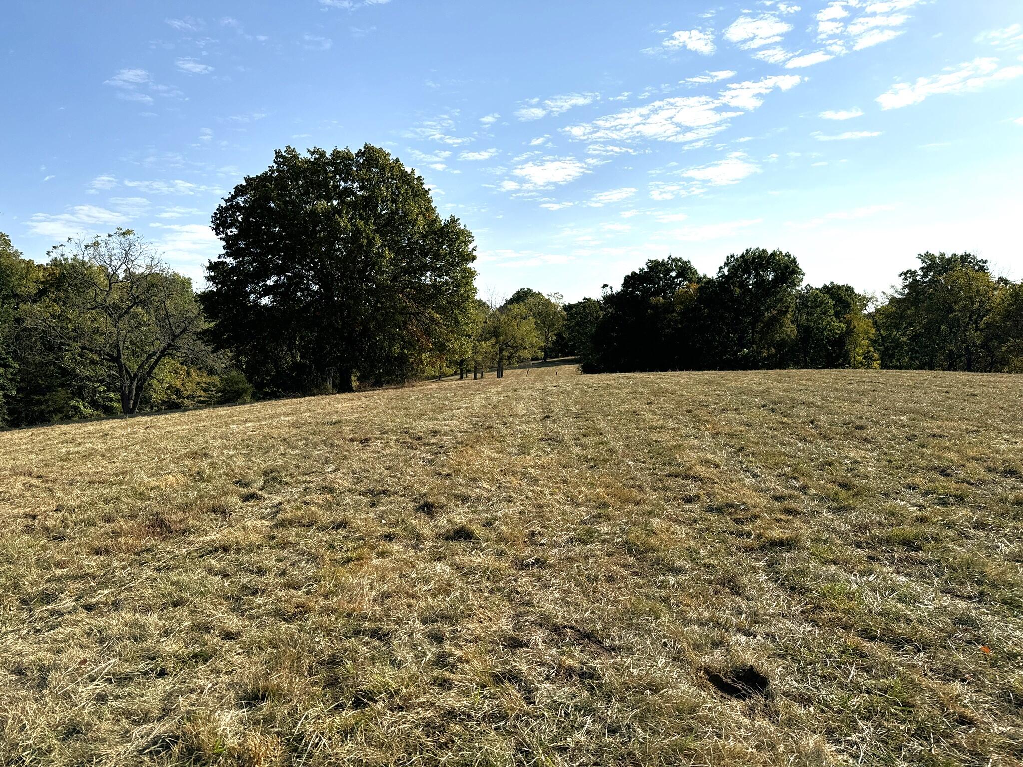 000 Thomas Hollow Road Property Photo 38