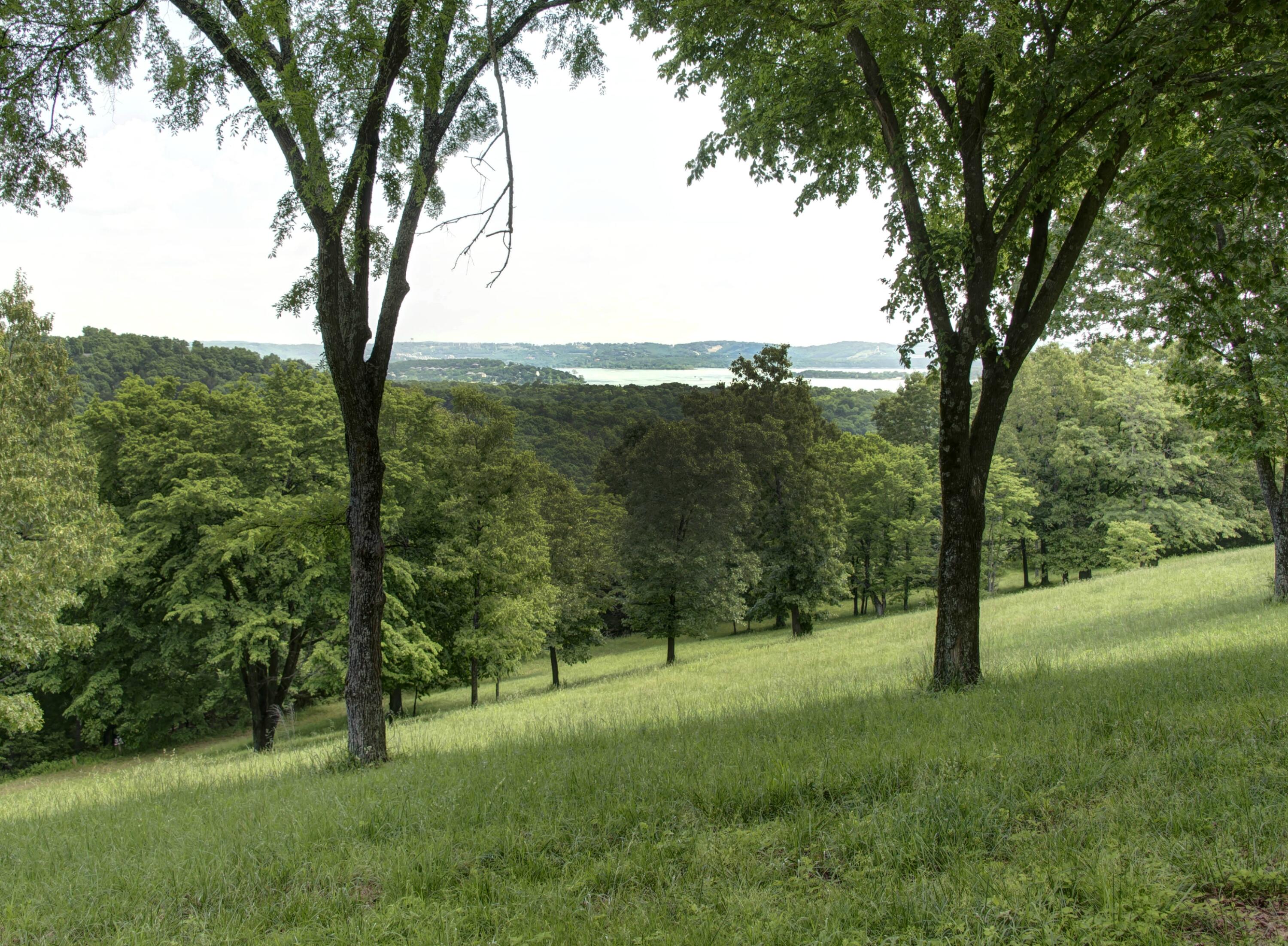 Tbd Cool Creek Road Property Photo 6