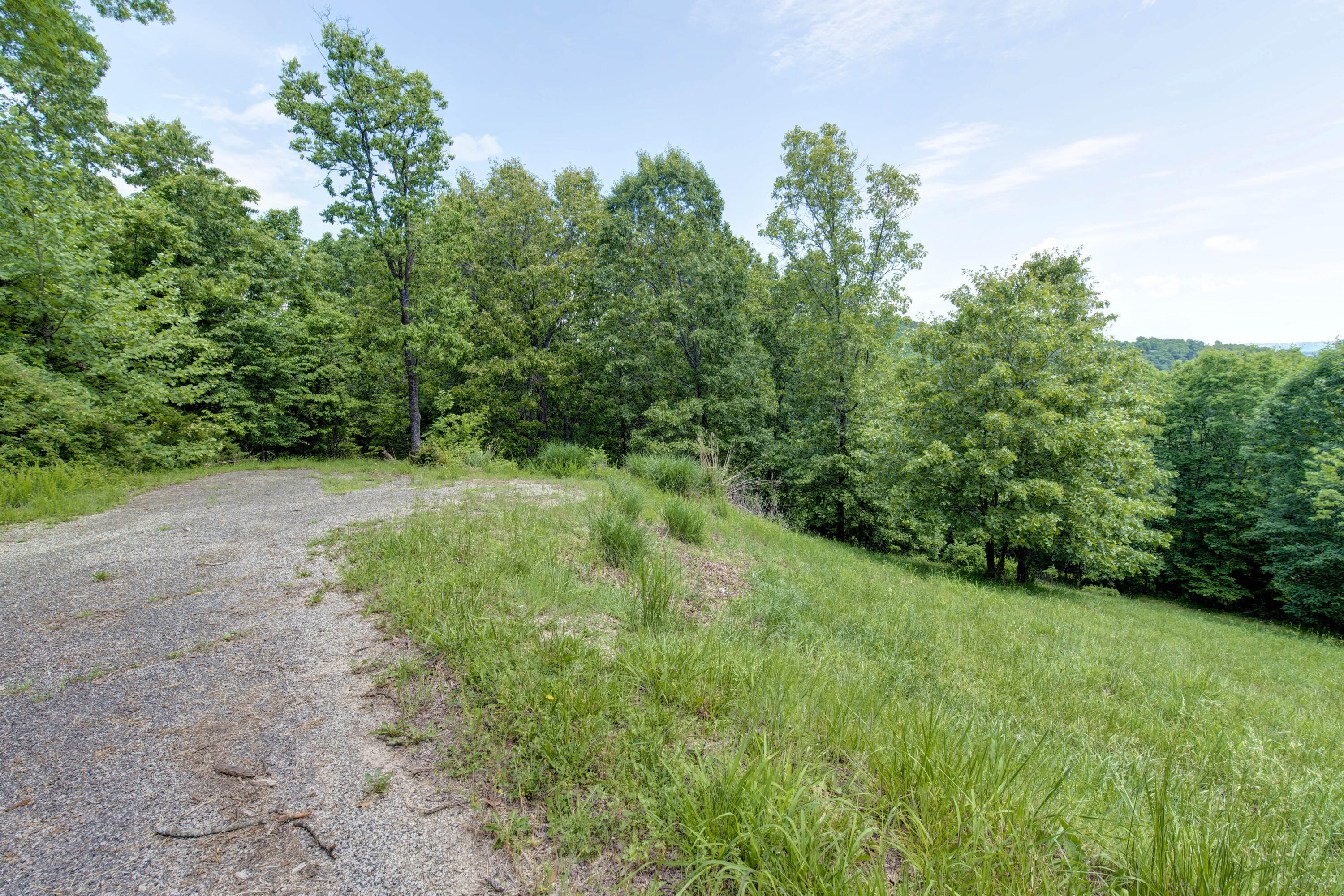 Tbd Cool Creek Road Property Photo 10