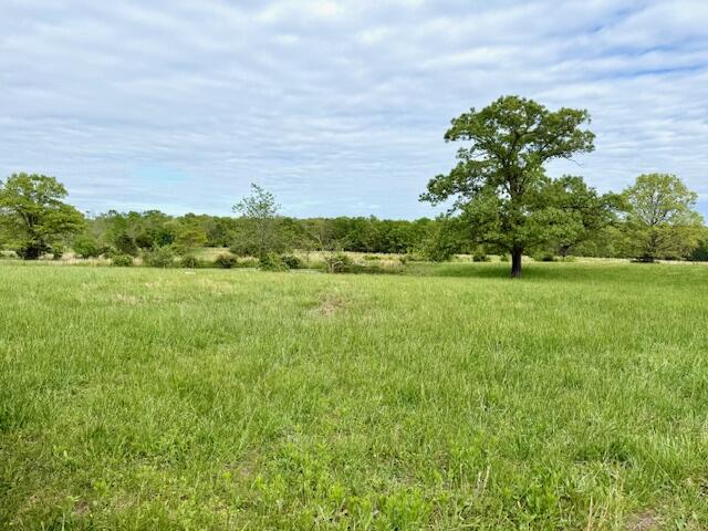 1003 County Road 3030 Property Photo 65