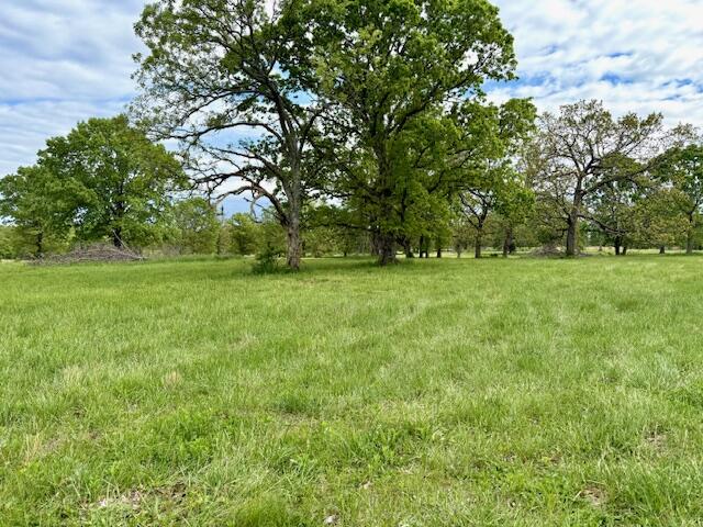 1003 County Road 3030 Property Photo 68