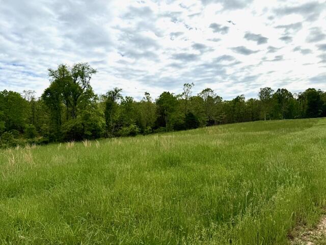 1003 County Road 3030 Property Photo 72