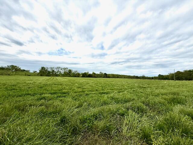 1003 County Road 3030 Property Photo 91