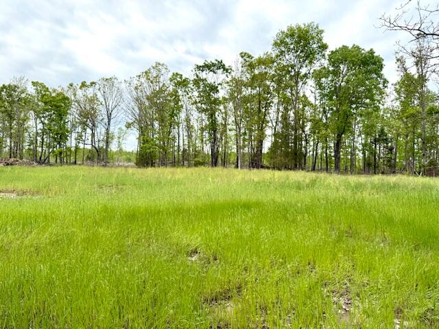 1003 County Road 3030 Property Photo 93