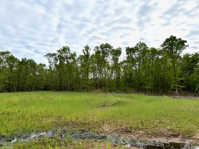 1003 County Road 3030 Property Photo 95