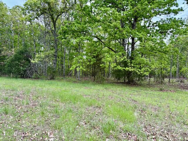 1003 County Road 3030 Property Photo 96