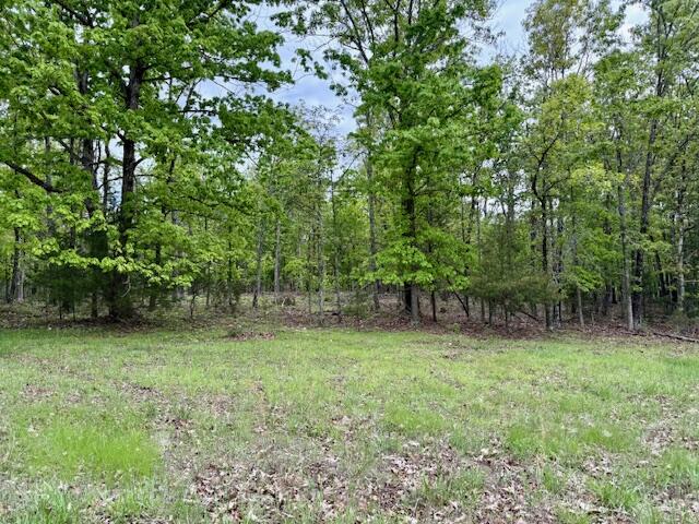 1003 County Road 3030 Property Photo 97