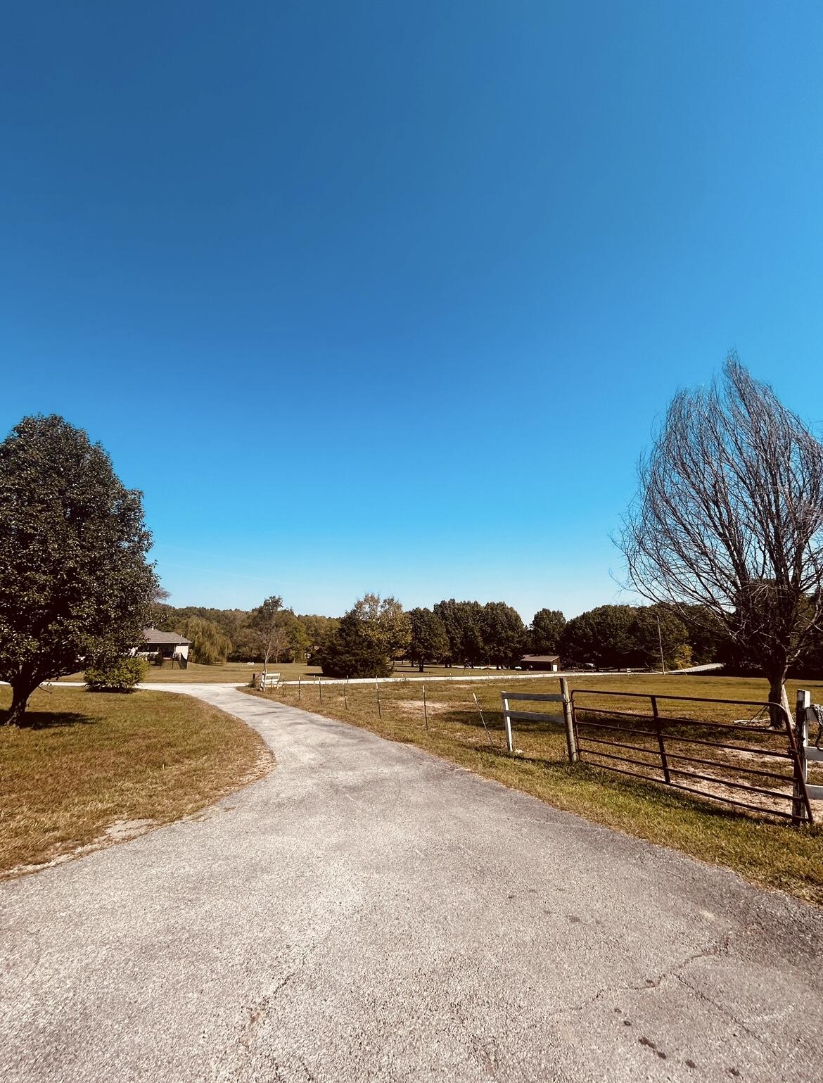 1156 Rose Lane Property Photo 4