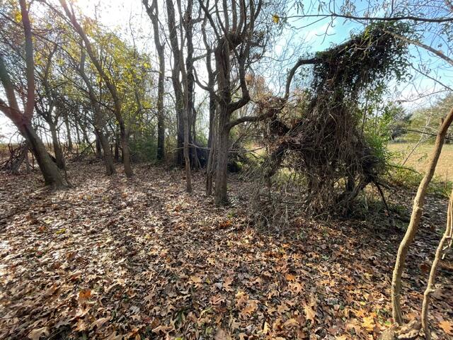 1156 Rose Lane Property Photo 37