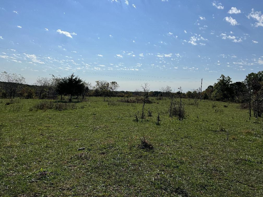 000 Date Drive Property Photo