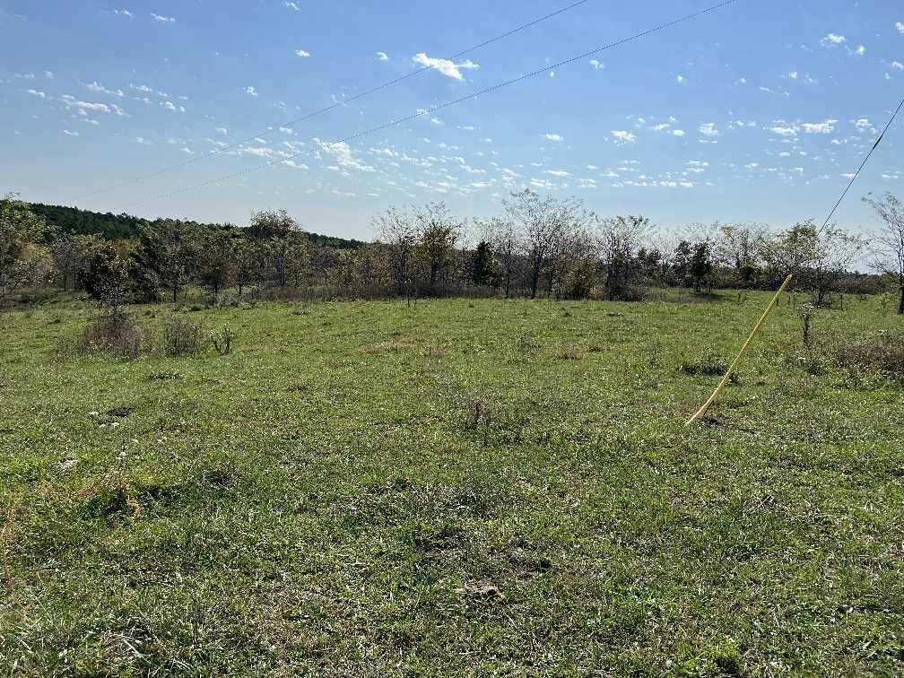 000 Date Drive Property Photo 6