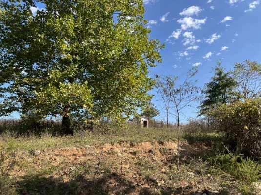 000 Date Drive Property Photo 8